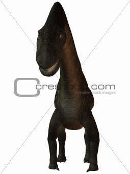 Titanosaurus colberti-3D Dinosaur
