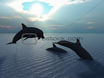 dolphin and sun ray