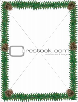 Evergreen Border with pine cones