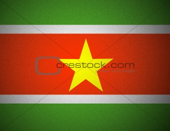 vector national Flag of Suriname
