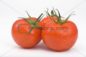 Juicy Isolated Tomatoes