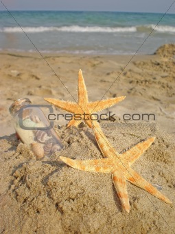 starfish and bottle in sand