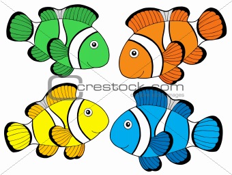Various color clownfishes 1
