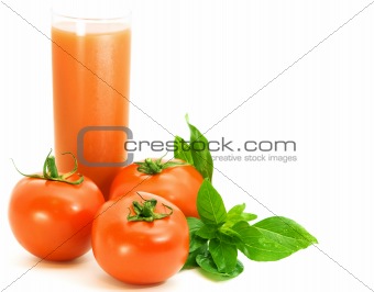 fresh tomatoes with basilico herb
