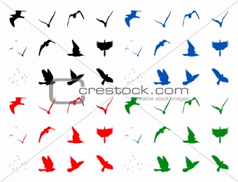 Silhuettes of birds
