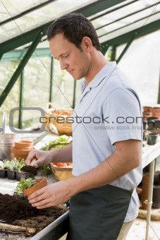 Man in greenhouse putting soil in pot