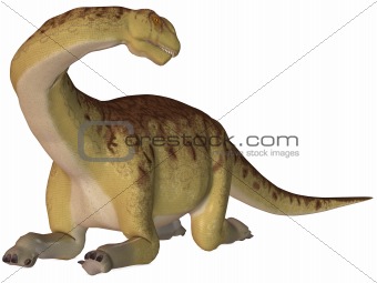 Camarasaurus-3D Dinosaur