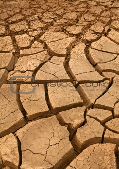 Detail of dry soil