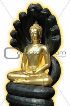 Buddha Statue