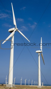 Windfarm in Gran Canaria