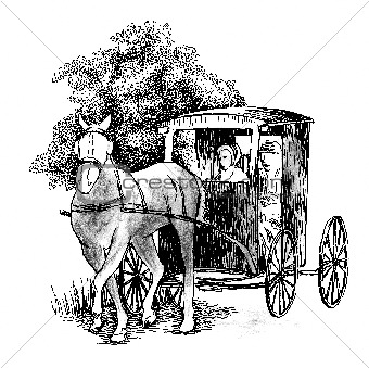 Horse drawn buggy