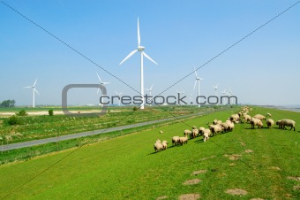 Windpark in East Frisia