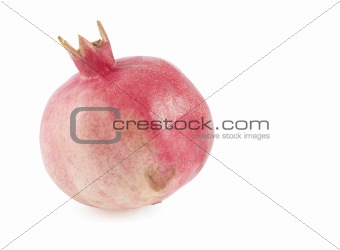 Pomegranate (Punica granatum). Over white.