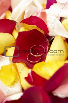 Wedding background: wedding rings on petals of roses.