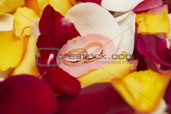 Wedding background: wedding rings on pink petal of roses