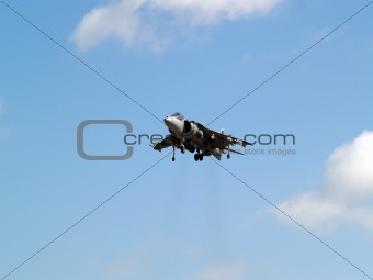 Harrier hovering