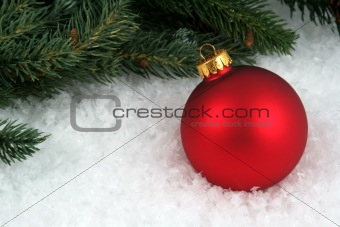 Red Bauble and Branch
