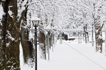 Lane in winter park