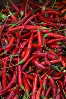 Red Cayenne Chili Peppers