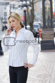 Attractive businesswoman upset on cell phone