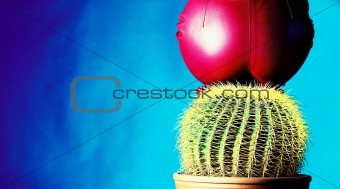 woman and cactus