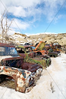 abandoned cars in junkyard