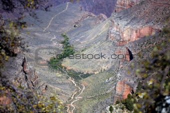 Grand Canyon with trail at the bottom