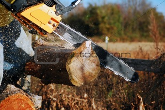 chainsaw cutting log