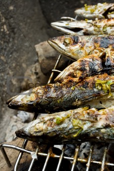 Grilled fishes laying on hot grill