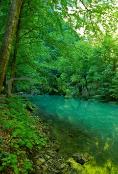 The source of the river Kupa in forest, Croatia