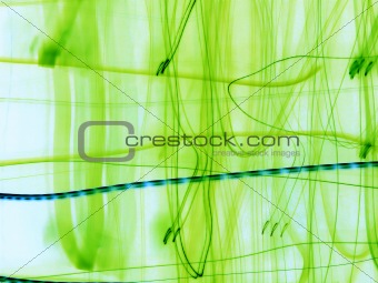green abstraction