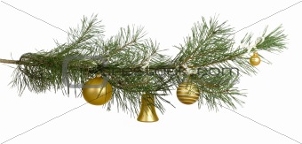 christmas branch with golden baubles