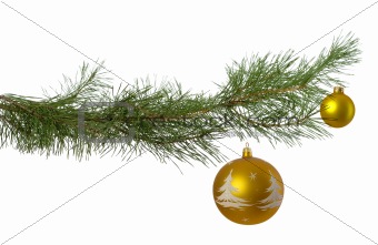 christmas branch with two golden baubles