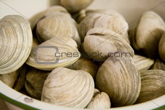 Clams in a Bowl