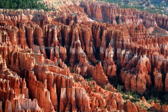 Bryce Canyon Close Up View