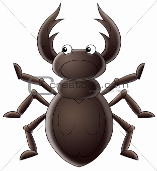 Horny beetle