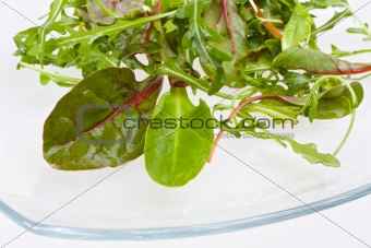 closeup of salad leaves on a glassy plate