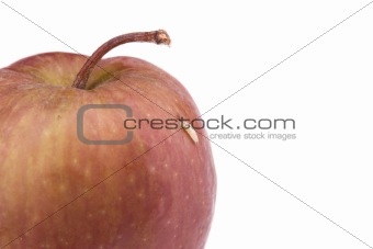 Single maggot comes out from the apple