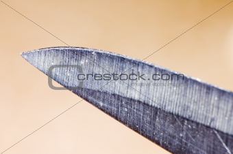 detail of sharp knife blade