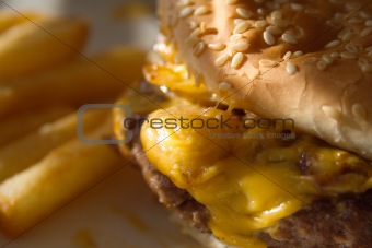 Fast food meal closeup