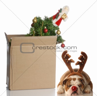packing up christmas