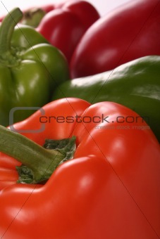 peppers in different colors