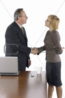 businesspeople handshake