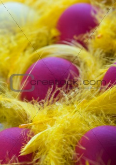 Easter Eggs Macro