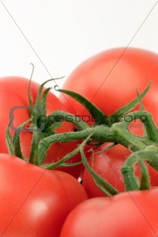 Vine Tomato's