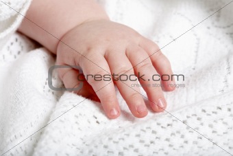 babies hand