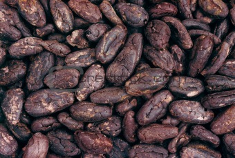 Cocoa beans - background