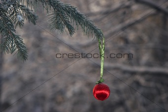 Christmas ball in a winter forest