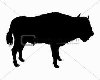 Bison shown in form of a black silhouette