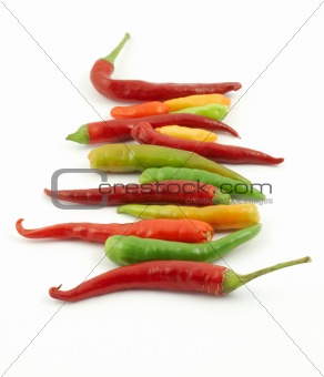 colorful hot peppers in a row